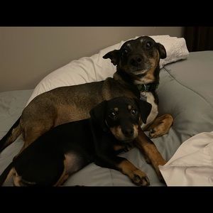 Meet your Posher, Jenny